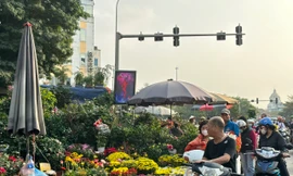 Người Hà Nội nườm nượp đi sắm Tết