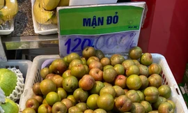 Đi chợ ngày mùng 1, 'choáng' với giá mận đầu mùa đắt đỏ 