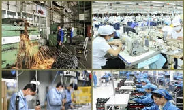 Cổ phần hoá doanh nghiệp Nhà nước giậm chân tại chỗ