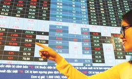 Cổ phiếu tăng gấp rưỡi trong 1 tuần