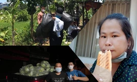 Chuyện bánh mì ăn vội và những ruộng rau, chuyến xe 0 đồng mùa dịch