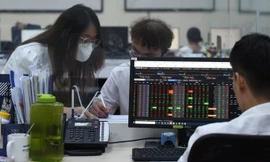 Tiền mất hút sau quyết định đình chỉ loạt cổ phiếu