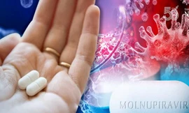 COVID-19 căng thẳng, cổ phiếu dược phẩm đua nhau tăng mạnh 