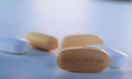 Thuốc điều trị COVID-19 nội được cấp phép, cổ phiếu dược phẩm tăng kịch trần