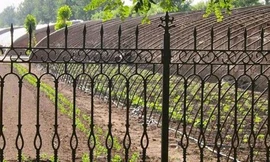 ‘Khu vườn bí mật’ của quan chức Trung Quốc