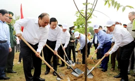Thủ tướng dự Lễ hưởng ứng Chương trình trồng 1 tỷ cây xanh tại Nghệ An 