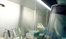 Kết quả xét nghiệm người đàn ông tử vong trên xe khách Hà Nội - Nghệ An