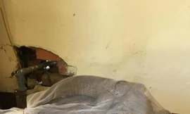 Kỳ đà quý hiếm 'đi' xe khách từ Bắc vào Nam