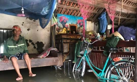 Vỡ kênh mương, hàng trăm hộ dân Nghệ An bị ngập sâu