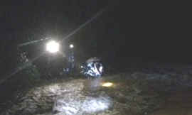 Bụi tre 'cứu sống' người đàn ông bị lũ cuốn trôi