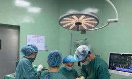 Bé trai 2 tuổi ở Nghệ An bị chó tấn công cắn đa chấn thương