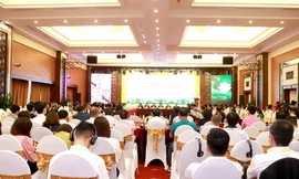 Nghệ An – Nhật Bản đẩy mạnh hợp tác và phát triển