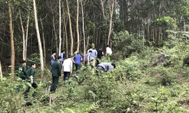 Lực lượng làm nhiệm vụ tại khu rừng ở xã Nậm Giải. Ảnh: Công an cung cấp/VnExpress