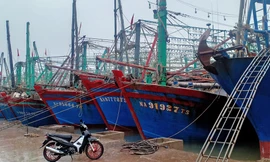 Nghệ An ra công điện khẩn ứng phó bão số 7