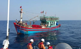 Huy động tàu thuyền tìm kiếm ngư dân mất tích trên biển