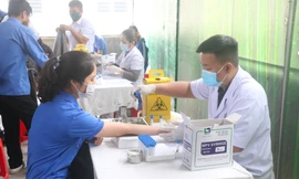 Tuổi trẻ Nghệ An hưởng ứng ‘Hiến máu an toàn - Đừng ngại COVID’