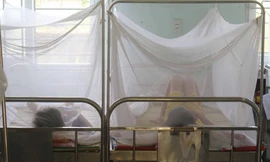 Nghệ An xuất hiện ổ dịch sốt xuất huyết