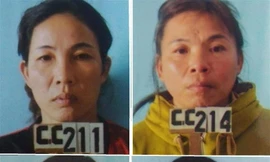 Tạm giữ 4 đối tượng chặt phá hàng ngàn cây keo chỉ để hả giận