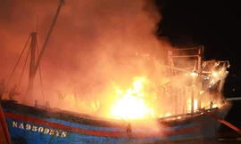 Bốn tàu cá bị lửa thiêu rụi: Ngư dân ngấn nước mắt lâm vào cảnh trắng tay