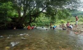 Ra suối tắm dịp nghỉ lễ, người đàn ông bị đỉa hút no máu mũi