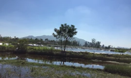 Doanh nghiệp khốn đốn vì chính quyền chậm bàn giao mặt bằng