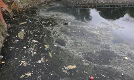 Nạo vét, xử lý ô nhiễm tại di tích Hào Thành cổ Vinh