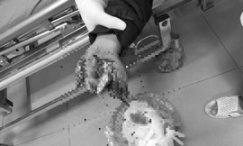 Nghịch pháo, hai anh em bị nổ nát bàn tay