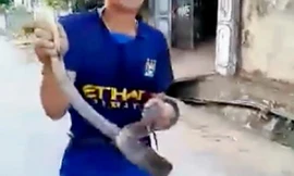 Rùng mình cảnh trai làng tay không bắt rắn hổ mang chúa