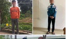Tóm gọn nhóm trộm nhí hoành hành liên huyện
