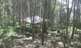 Khởi tố, tạm giam nam sinh bắt cóc khiến bé 5 tuổi tử vong trong rừng