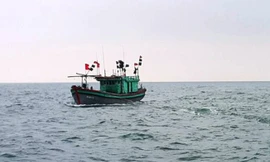 Ngư dân mất tích bí ẩn khi đi đánh cá trên biển