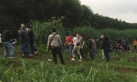 Hơn 40 cảnh sát bao vây hàng chục đối tượng đánh bạc giữa núi rừng