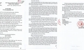 UBND tỉnh Nghệ An xử phạt một công ty ở Hà Nội do vi phạm môi trường