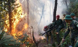 Ngày thứ 3 liên tiếp lửa vẫn cháy ở rừng thông Hà Tĩnh