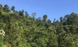 Sở Công thương Nghệ An chậm phản hồi chỉ đạo của Phó chủ tịch tỉnh