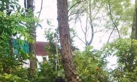 Hiện trường vụ việc