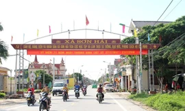 Phiên đấu giá đất 'lịch sử' tại xã miền biển Nghệ An