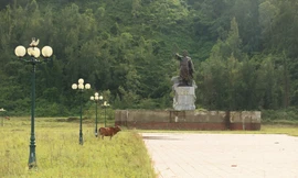 Nhếch nhác tượng đài hơn 40 tỷ bỏ hoang thành nơi chăn thả bò