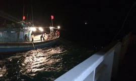 Lai dắt tàu cá bị nạn vào bờ giữa sóng dữ