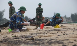 Lực lượng chức năng được huy động đến thu gom lượng cặn dầu trên cát để đem đi xử lý