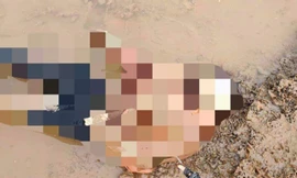 Đi đánh cá phát hiện thi thể người phụ nữ nổi trên sông Lam