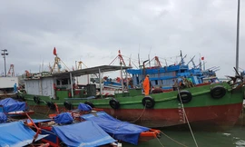 Nghệ An lên phương án di dời hơn 16 nghìn người để tránh bão số 2