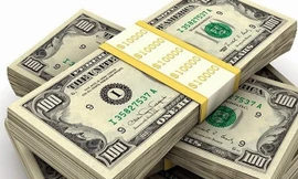 Vụ mua bán ngoại tệ trái phép: Không phạt người dân giao dịch 