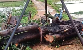 Hiện trường vụ việc.