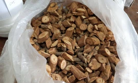 Trong rượu có lá ngón?