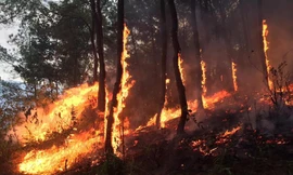 Người phụ nữ ngạt khói tử vong khi mang nước cho lực lượng cứu hỏa