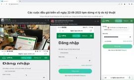 Nóng: Tạm dừng đấu giá biển số ô tô vì trục trặc kỹ thuật