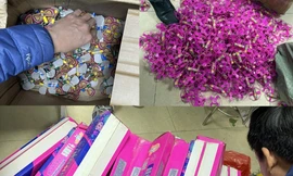 Hà Nội liên tiếp bắt giữ pháo lậu dịp cận Tết