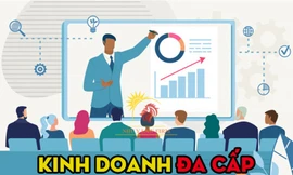 Nhiều chính sách mới có hiệu lực từ tháng 6/2023