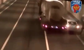 Dừng xe giữa hầm, nhóm người suýt gây tai nạn thảm khốc cho xe bồn